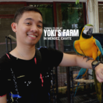Things-To-Do at Yoki's Farm in Mendez, Cavite