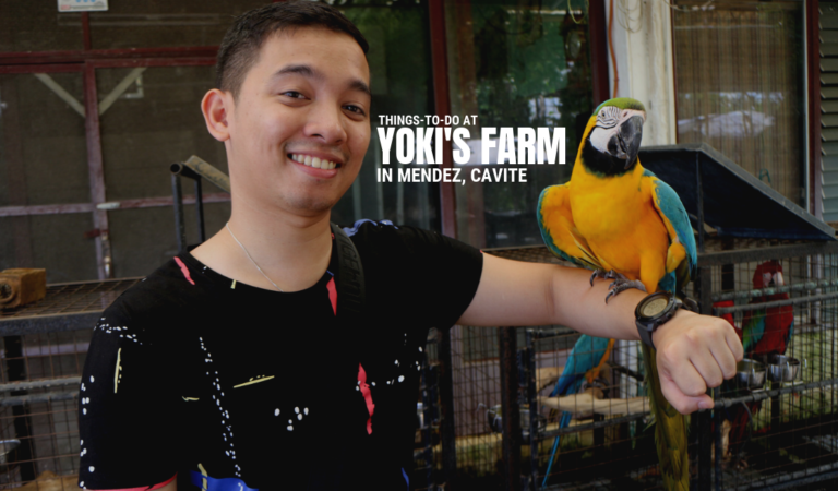 Things-To-Do at Yoki’s Farm in Mendez, Cavite