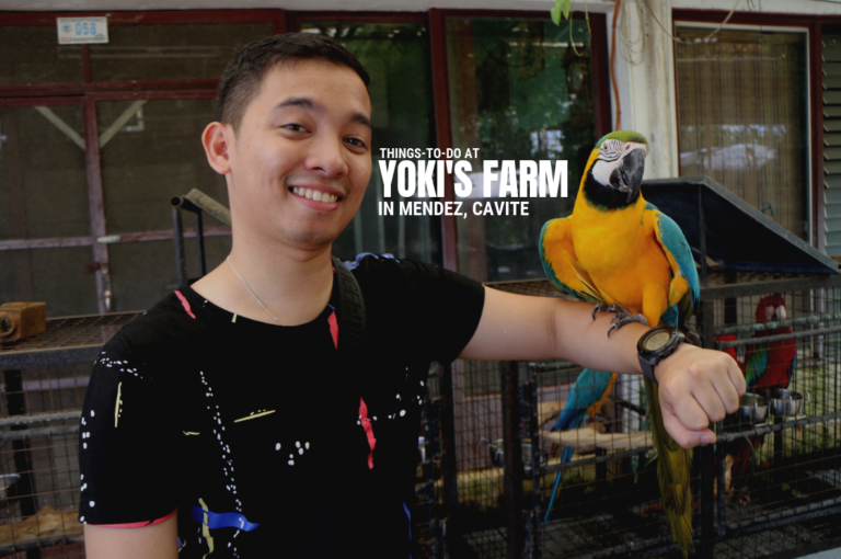 Things-To-Do at Yoki's Farm in Mendez, Cavite