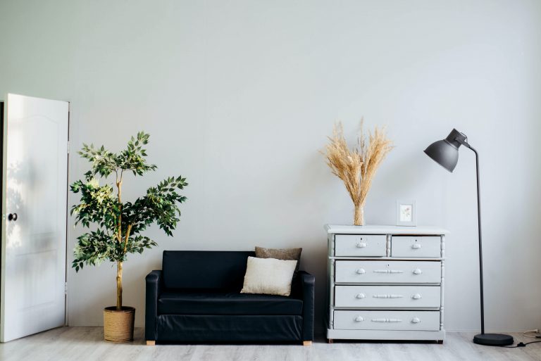 Home Equity What is It and What Can You Do with It